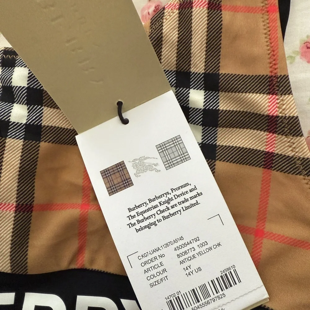 Burberry Tan and Black Plaid Bikini - Picture 3 of 11